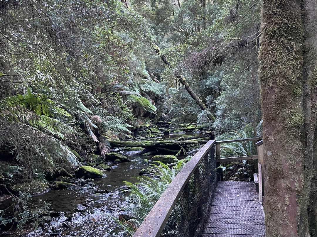 Nelson Falls-皇后镇必去景点