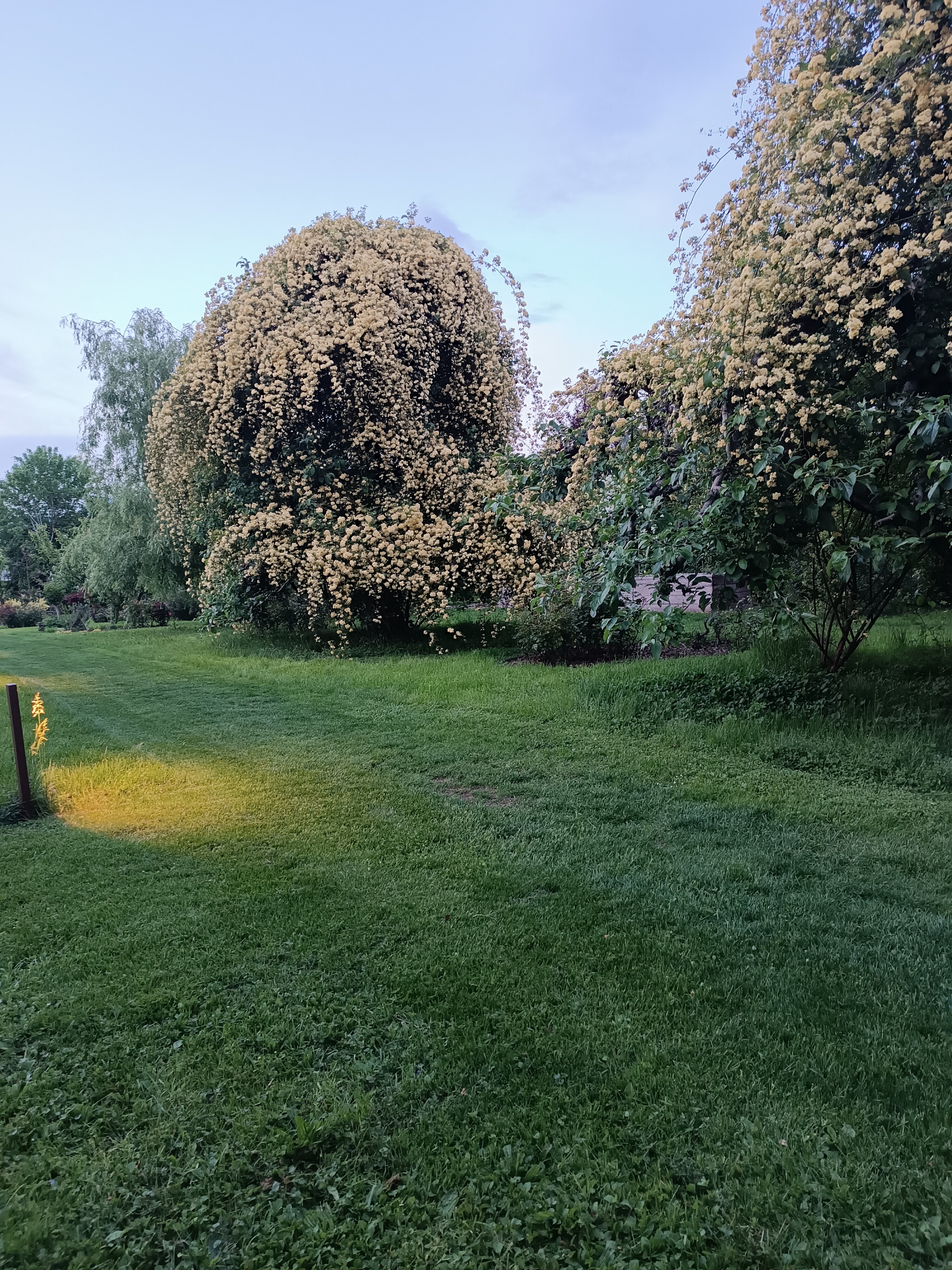 Angerburg Blumenhotel-官方