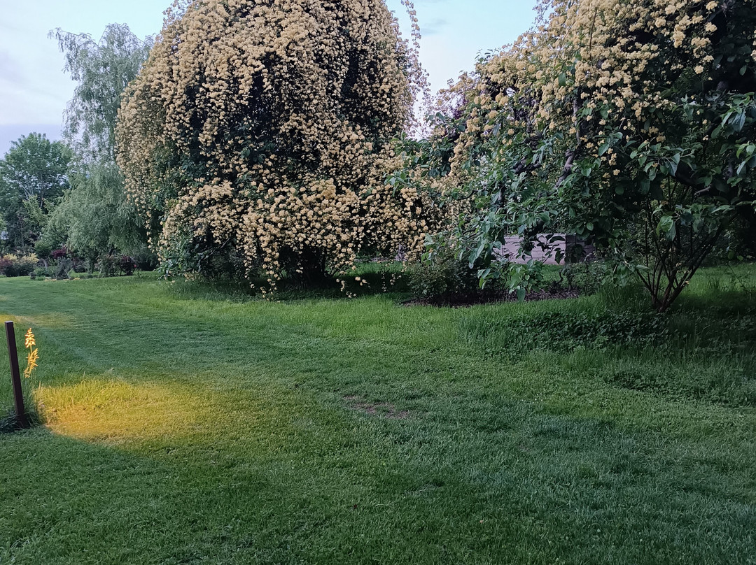 Angerburg Blumenhotel主图