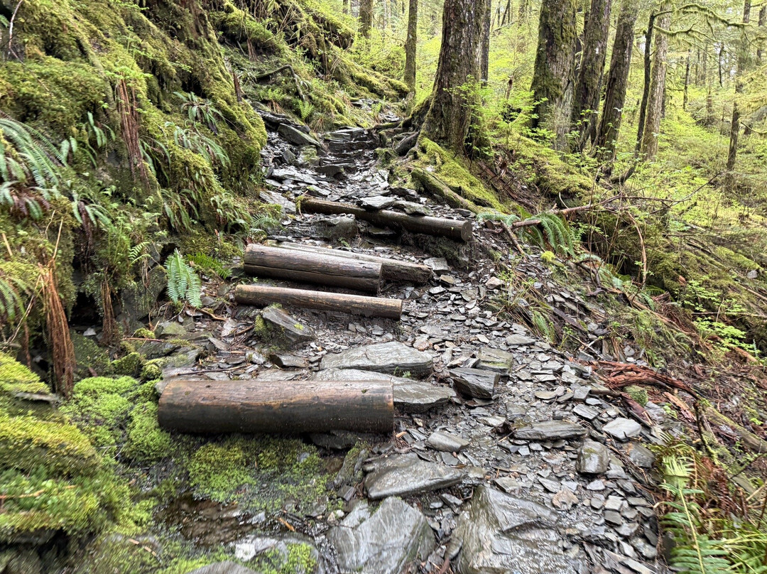 Deer Mountain Trail-凯奇坎必去景点