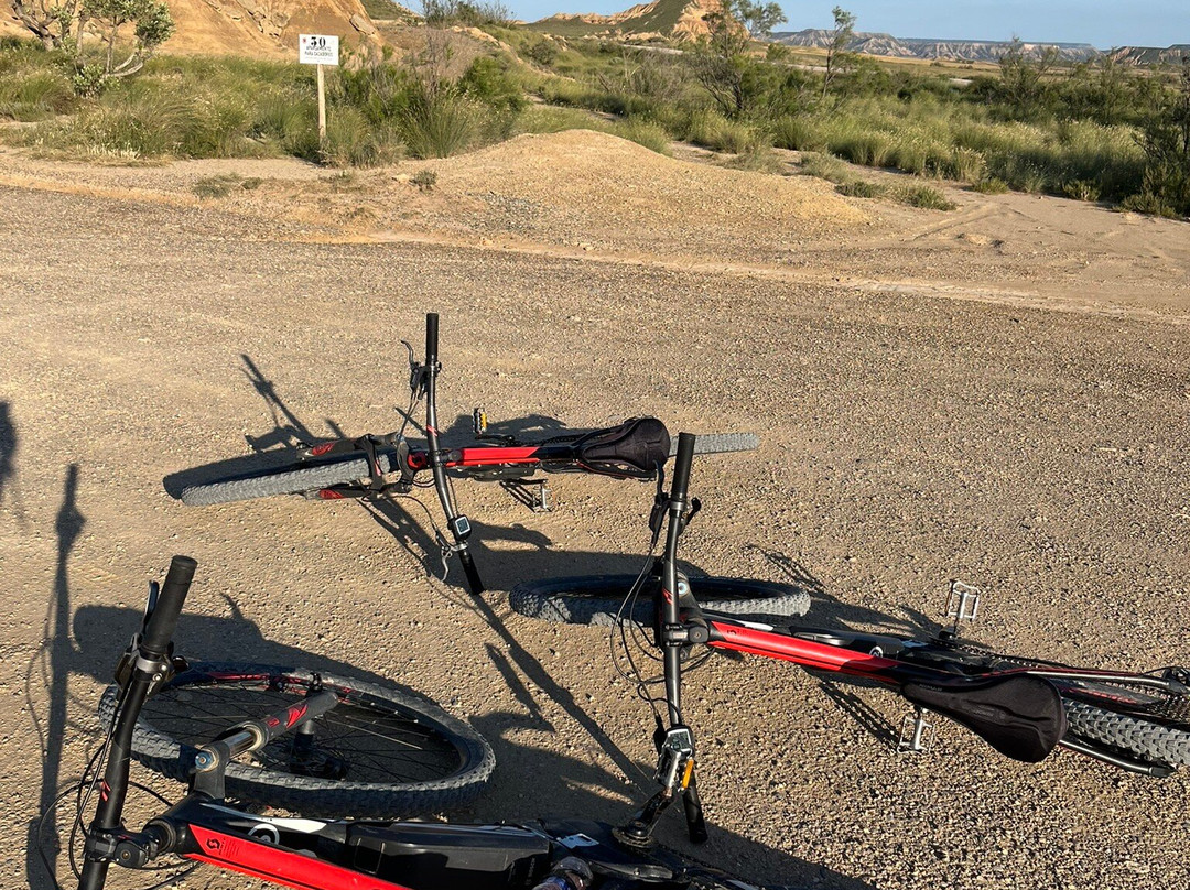 Compania de Guias de las Bardenas-Tudela必去景点