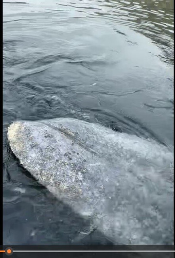 Aurora Jewelers-史凯威必去景点