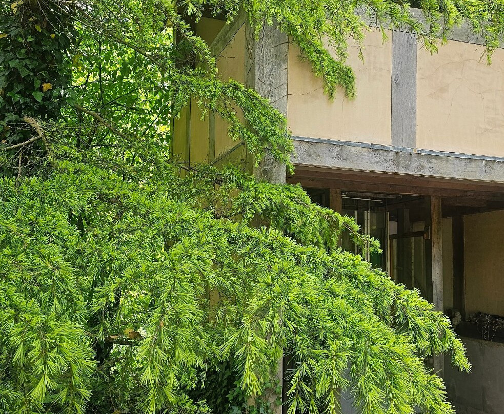 Westonbury Mill Water Gardens-Pembridge必去景点