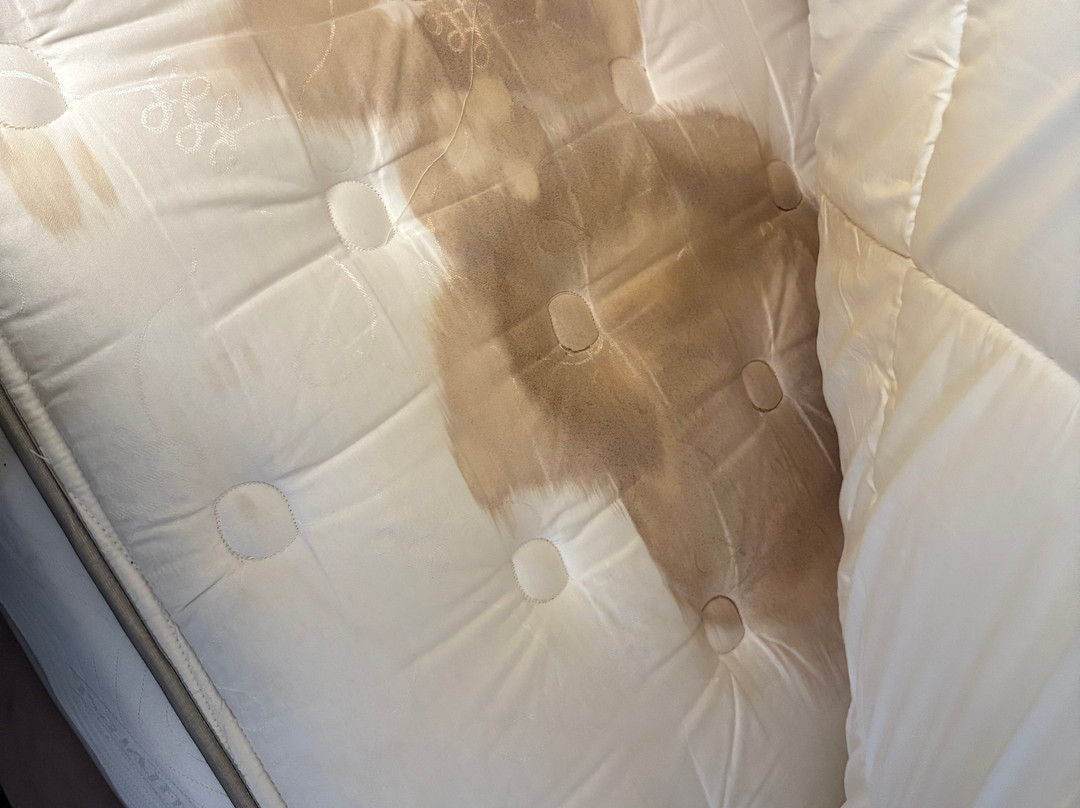 Super 8 by Wyndham York NE主图