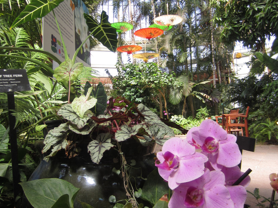 Buffalo and Erie County Botanical Gardens-水牛城必去景点
