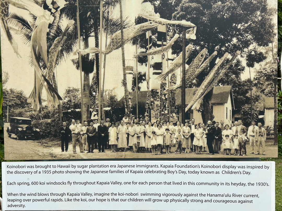Kapaia Suspension Bridge
