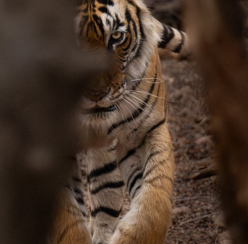 Sudhir Shivaram Photography-班加罗尔必去景点