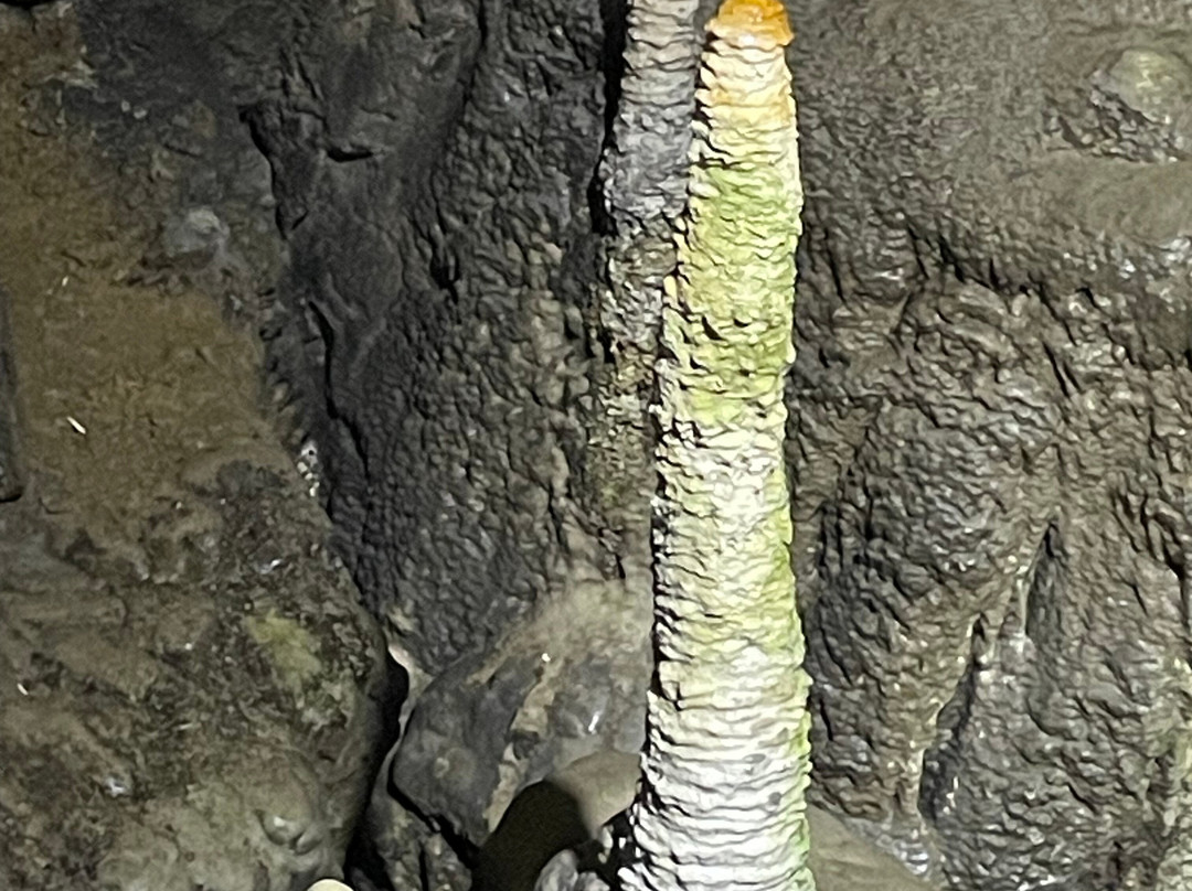 Poole's Cavern & Buxton Country Park景点图片