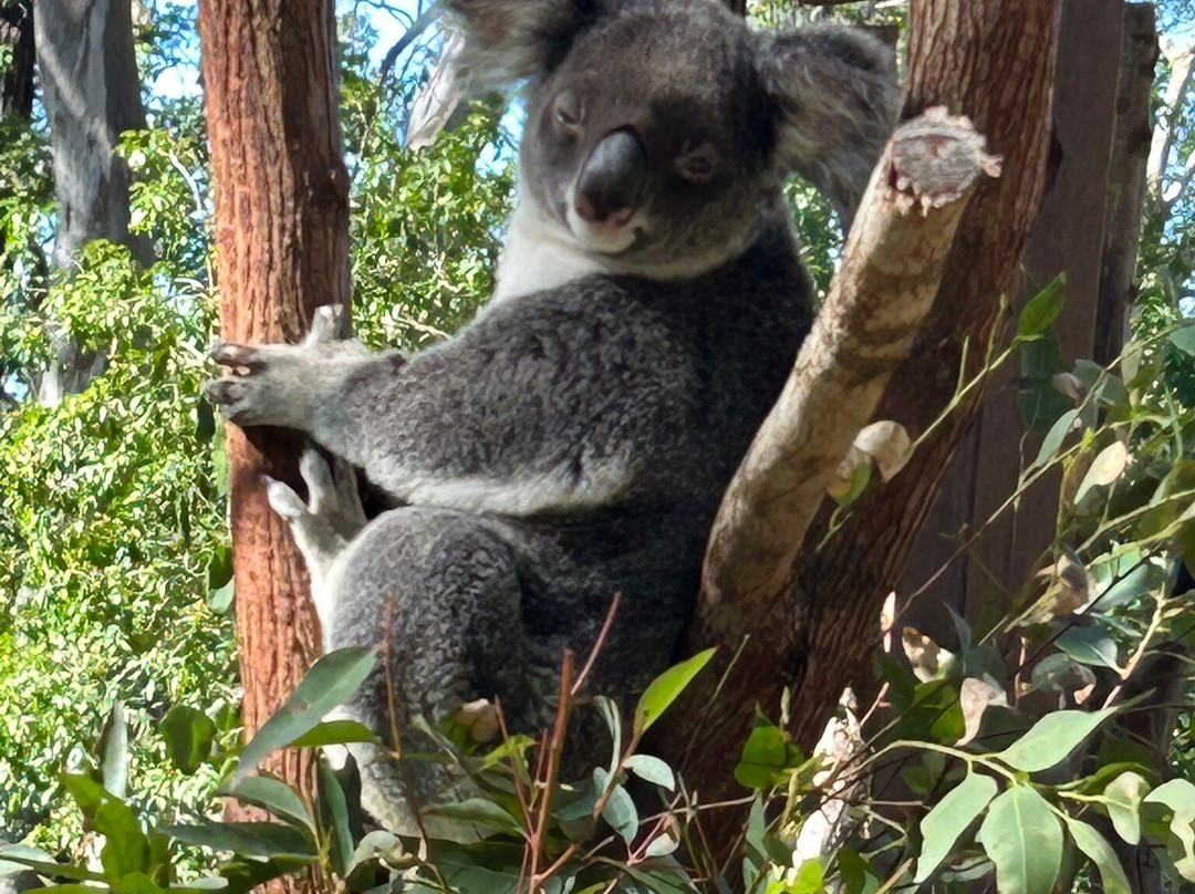 David Fleay Wildlife Park-West Burleigh必去景点