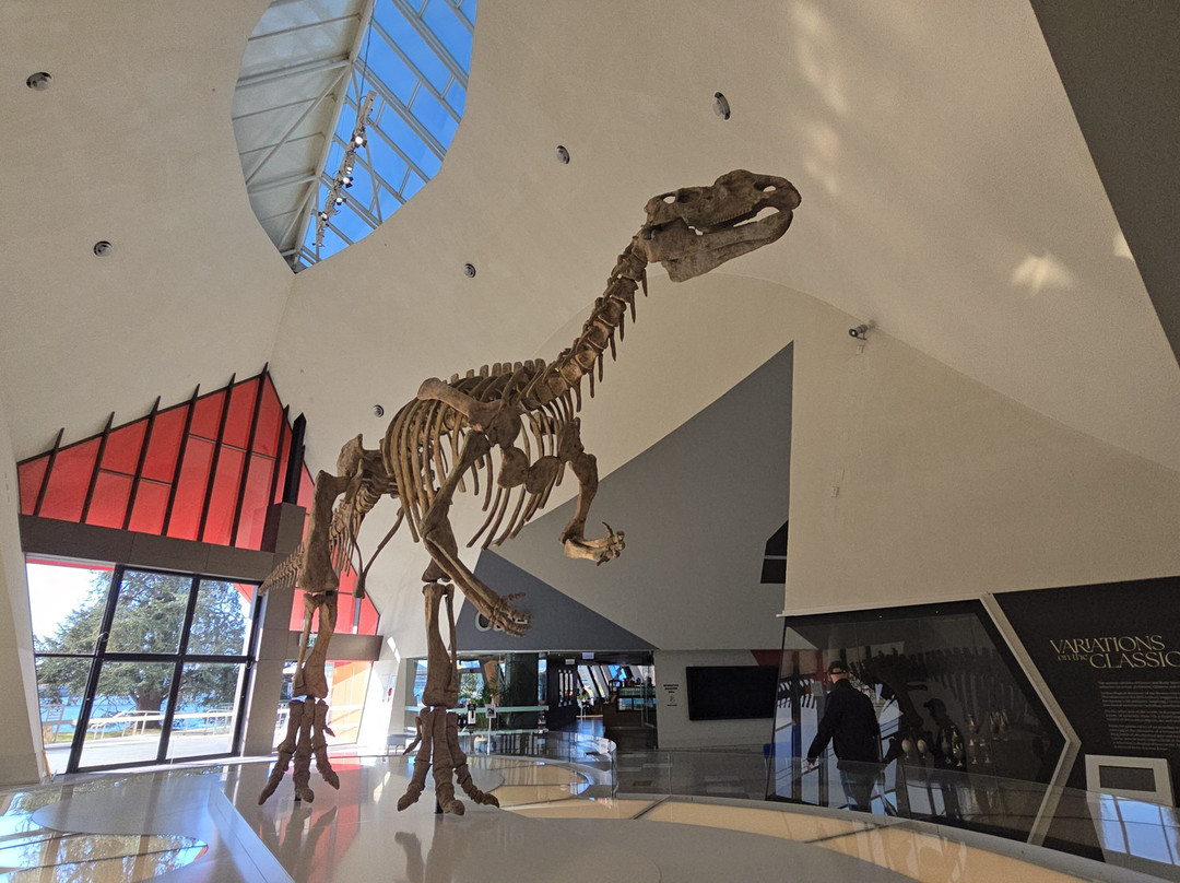 Sydney Private Tours-悉尼必去景点