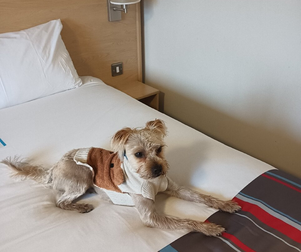 Travelodge Blackburn M65 Hotel主图