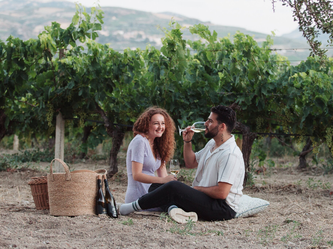 Daf Wines-Dafnes必去景点