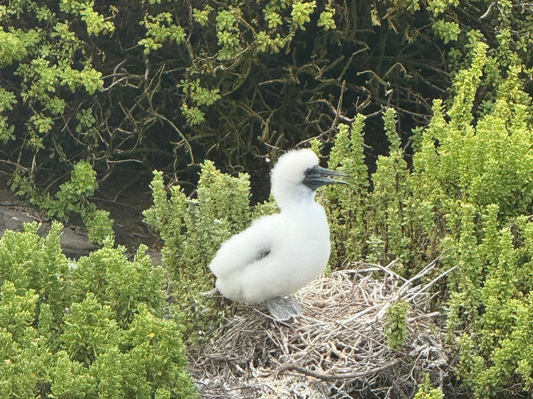 Eco-Challenger Galapagos Tour Agency景点图片
