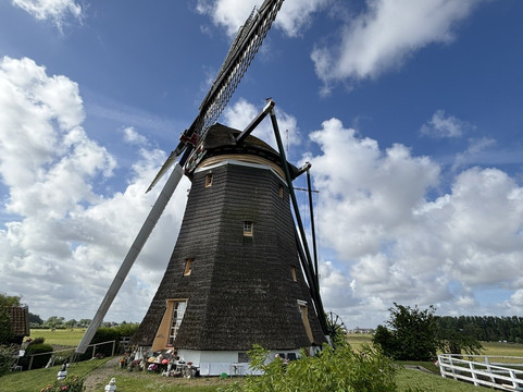 Holland Tour Company-哈勒姆必去景点