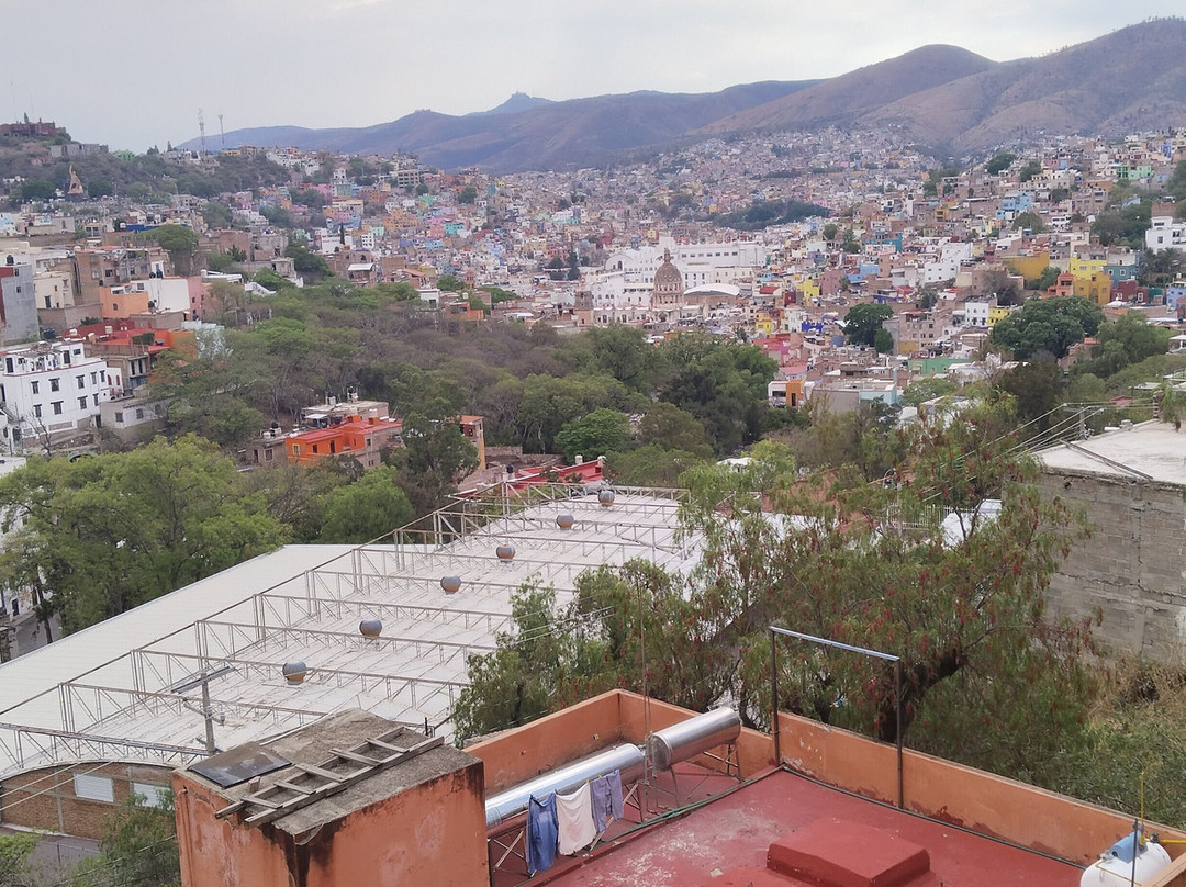 Hotel 1988 Guanajuato主图