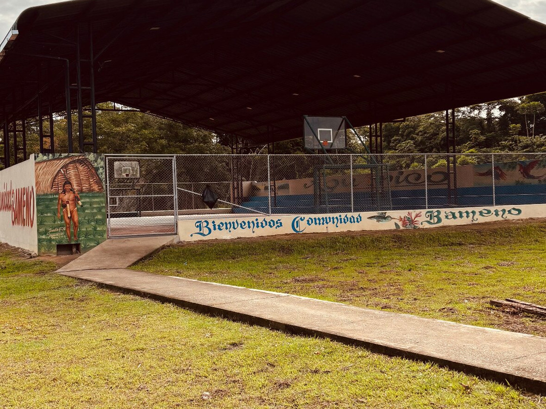 Henry Eco Tours-Coca必去景点