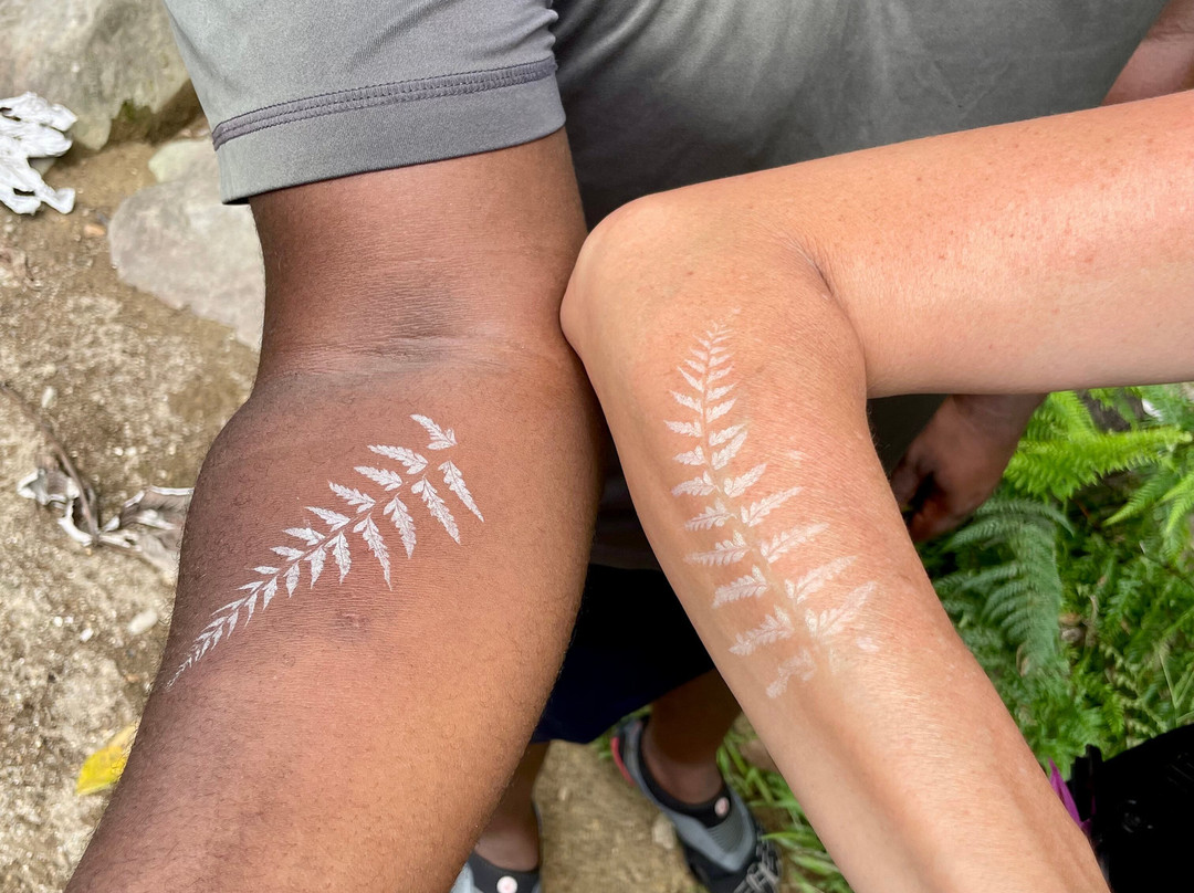 My Island Adventures with Chadi Symes-罗索必去景点