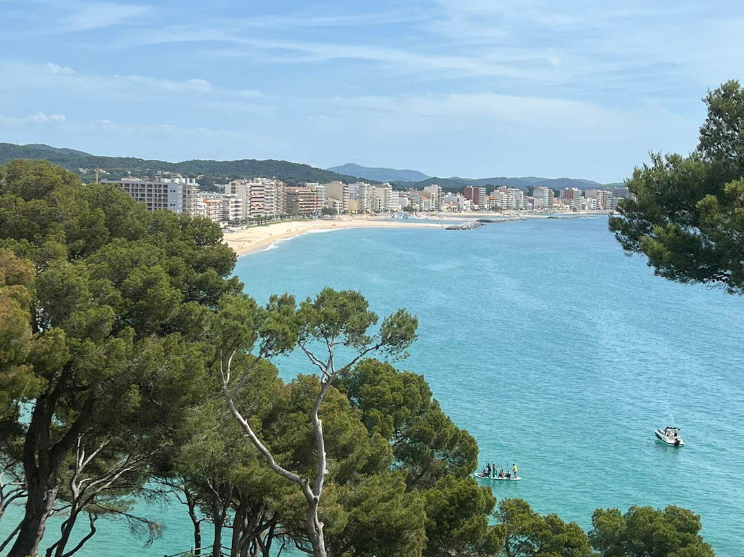 Platja de Sant Antoni景点图片