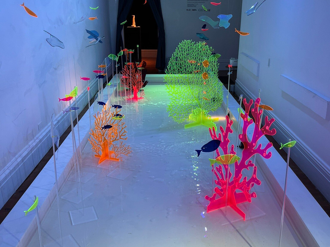 National Art Gallery Of The Bahamas景点图片