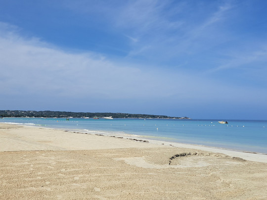 Negril Palms Hotel主图