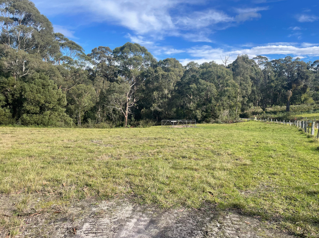 Brackenbush Unleashed Dog Park景点图片