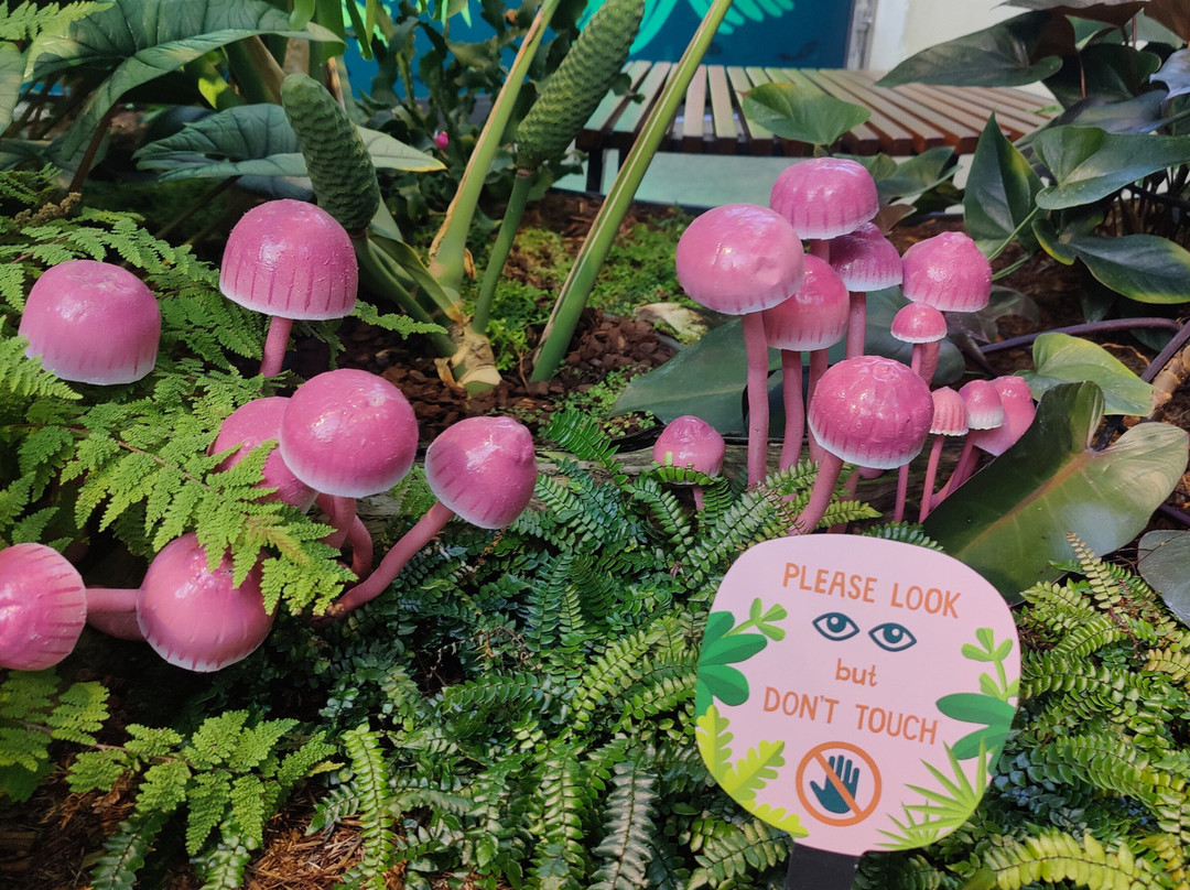 The Calyx-悉尼必去景点