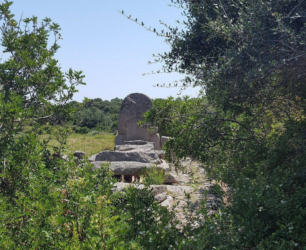 Tomba dei Giganti di Coddu Vecchiu-Arzachena必去景点