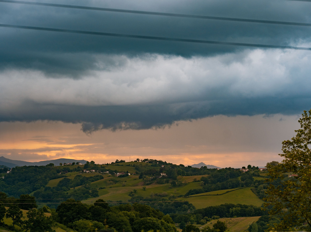 B&B Perbos 1556主图