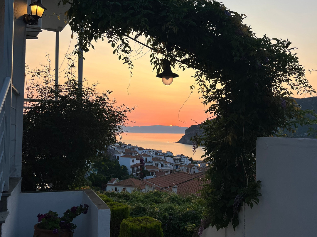 Thea Home Hotel By Booking Kottas主图