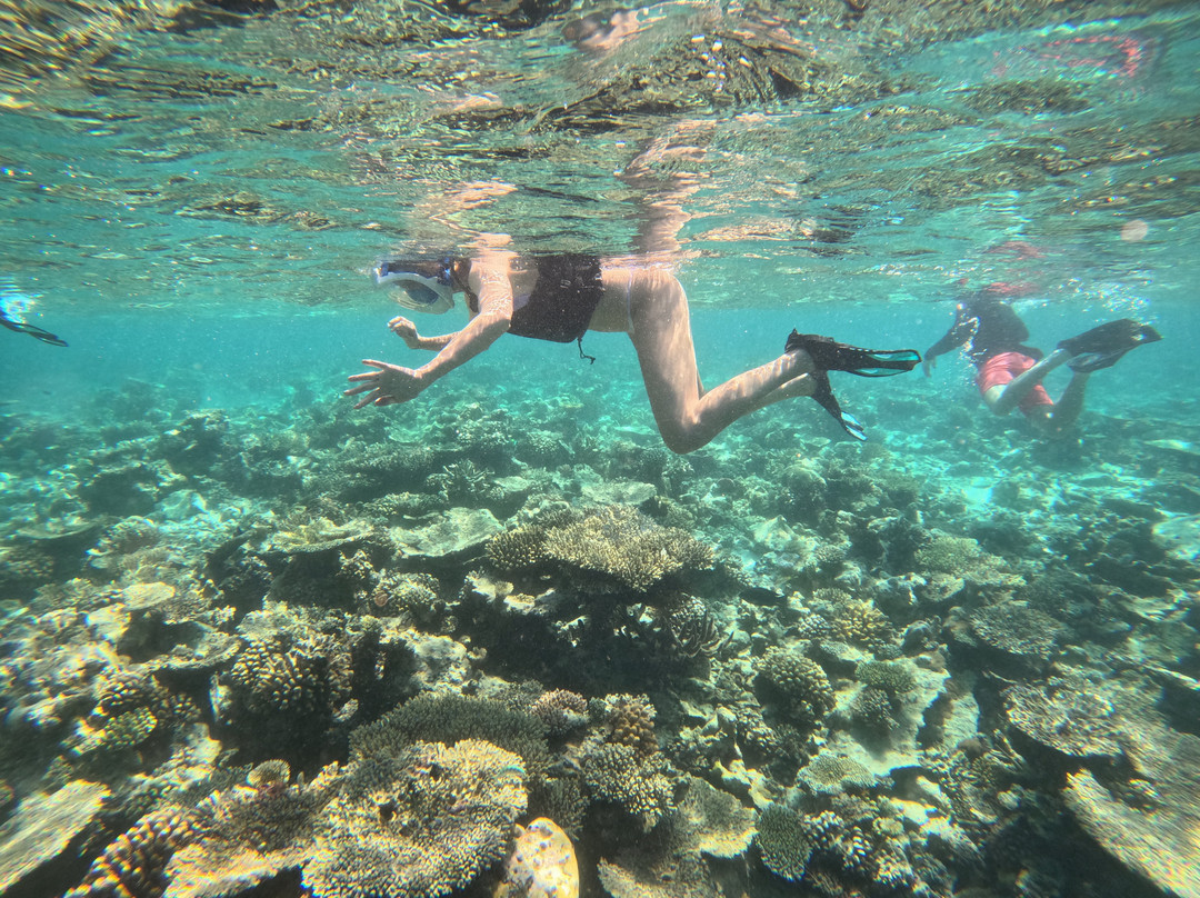 Thoddoo Marine Excursion-图杜岛必去景点