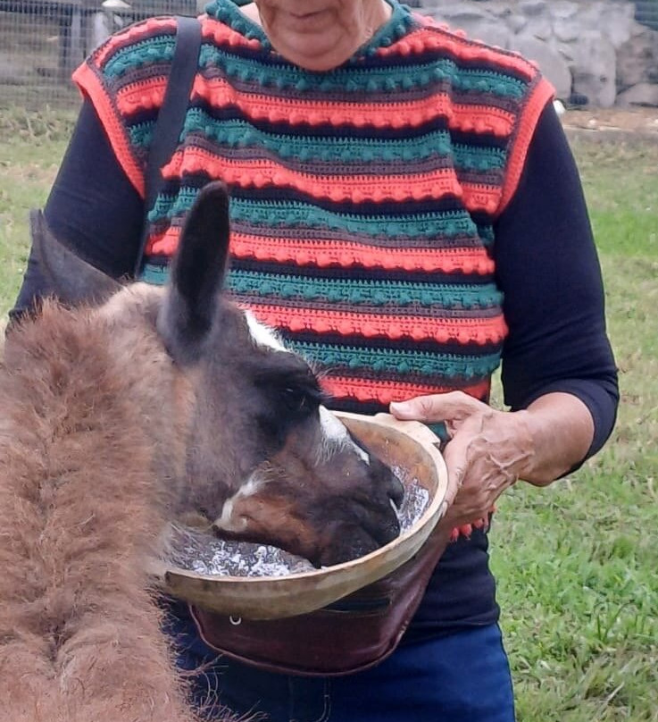 Latin Trails-基多必去景点