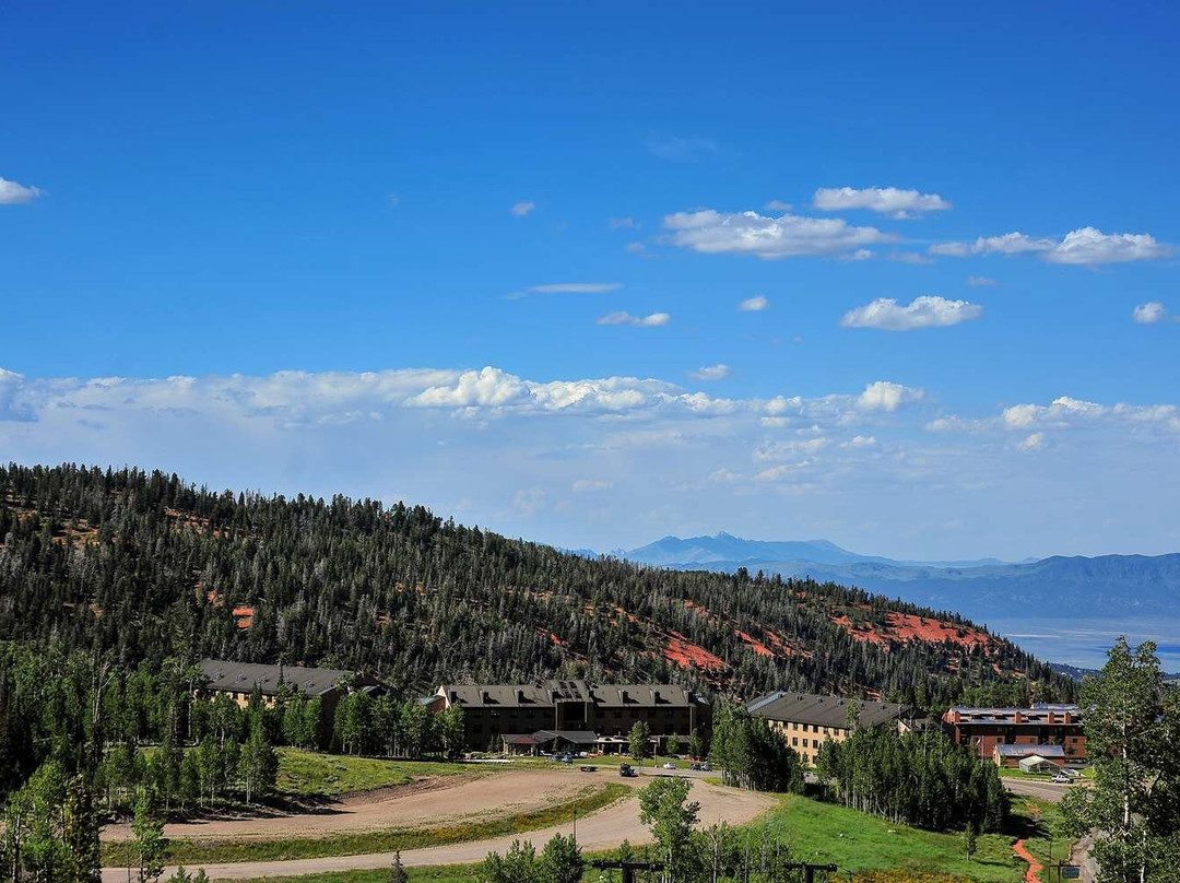 布里安赫德酒店住宿-雪松休闲旅舍
