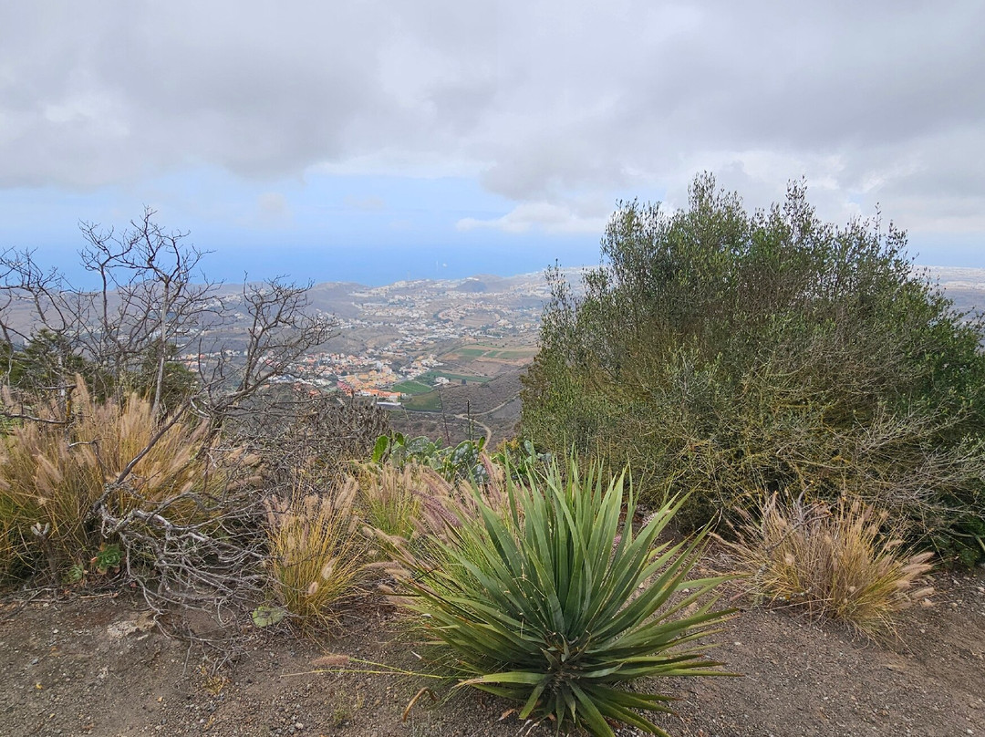 Mirador Pico de Bandama景点图片