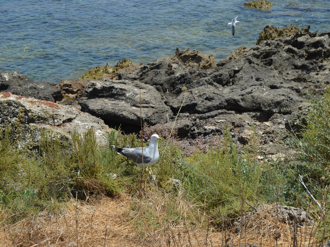 Ilha do Pessegueiro-Porto Covo必去景点