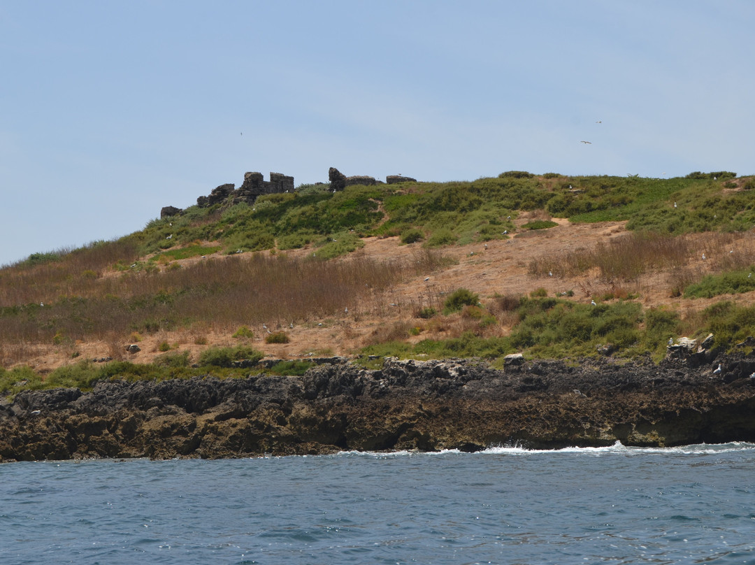 Ilha do Pessegueiro-Porto Covo必去景点