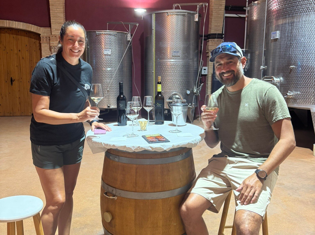 Bodegas Sers-Cofita必去景点