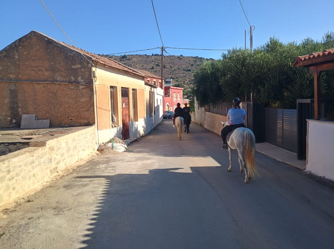 Horseriding Georgoupolis/ Grillo's Stable-Georgioupolis必去景点
