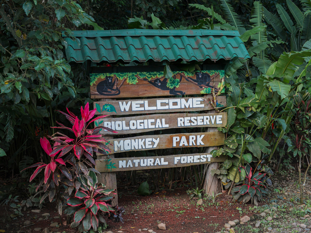 Monkey Park La Fortuna-La Fortuna必去景点