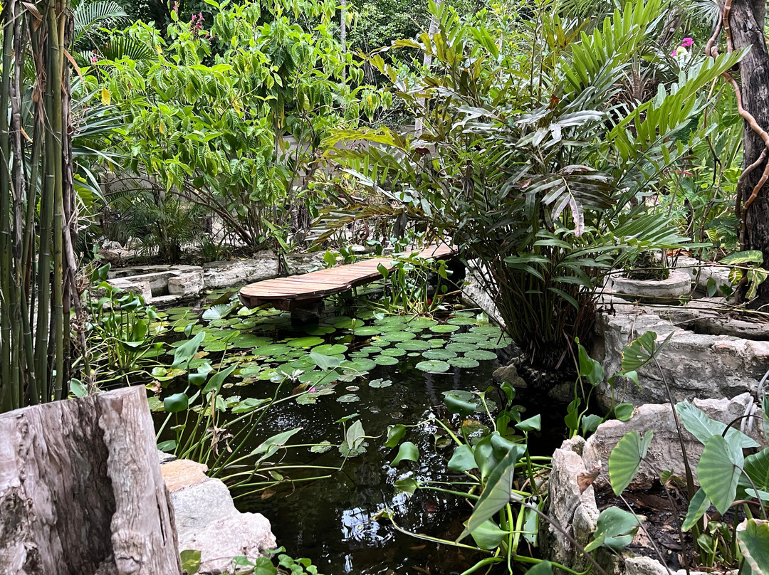 Espíritu Wellness-图伦必去景点