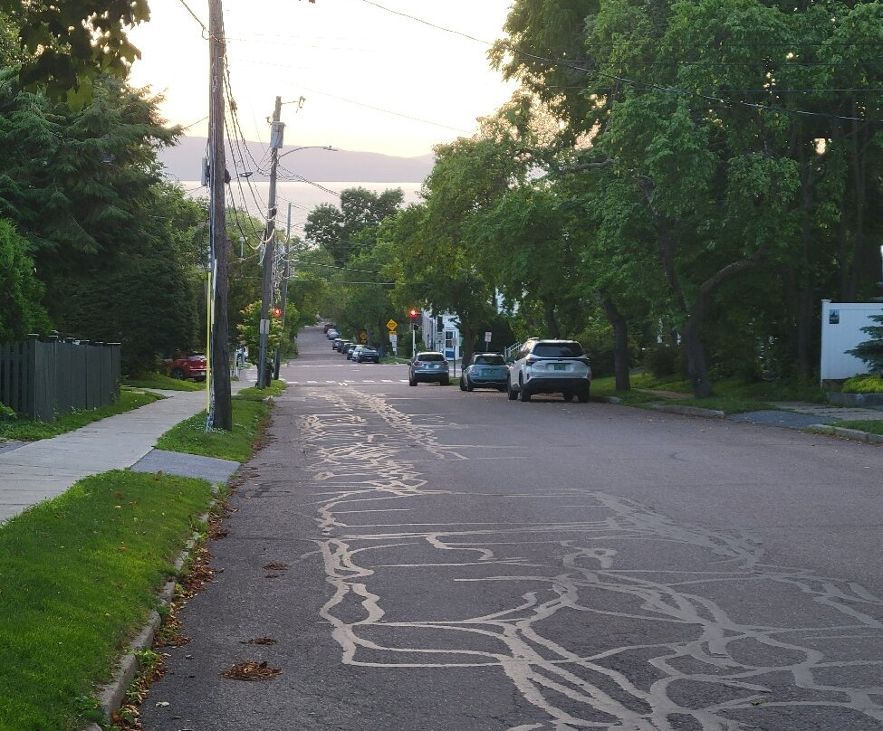 Howard Street Guest House主图