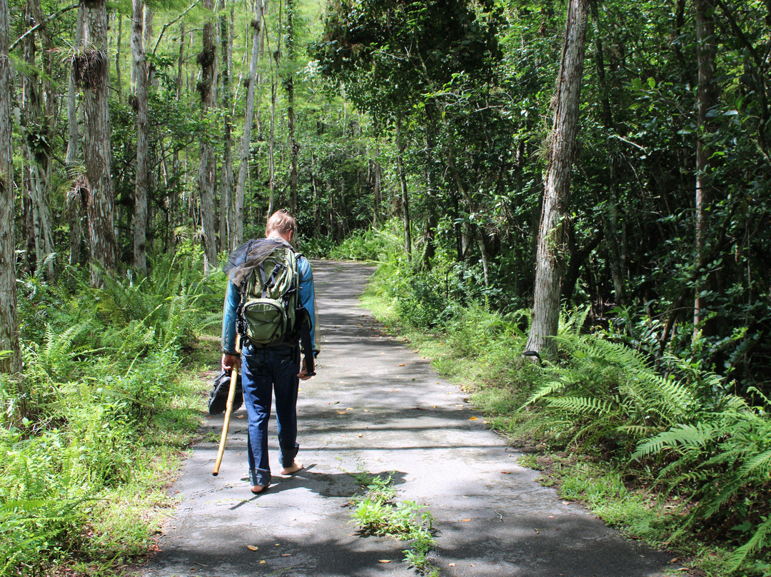 Clyde Butcher's Big Cypress Gallery-奥乔皮必去景点