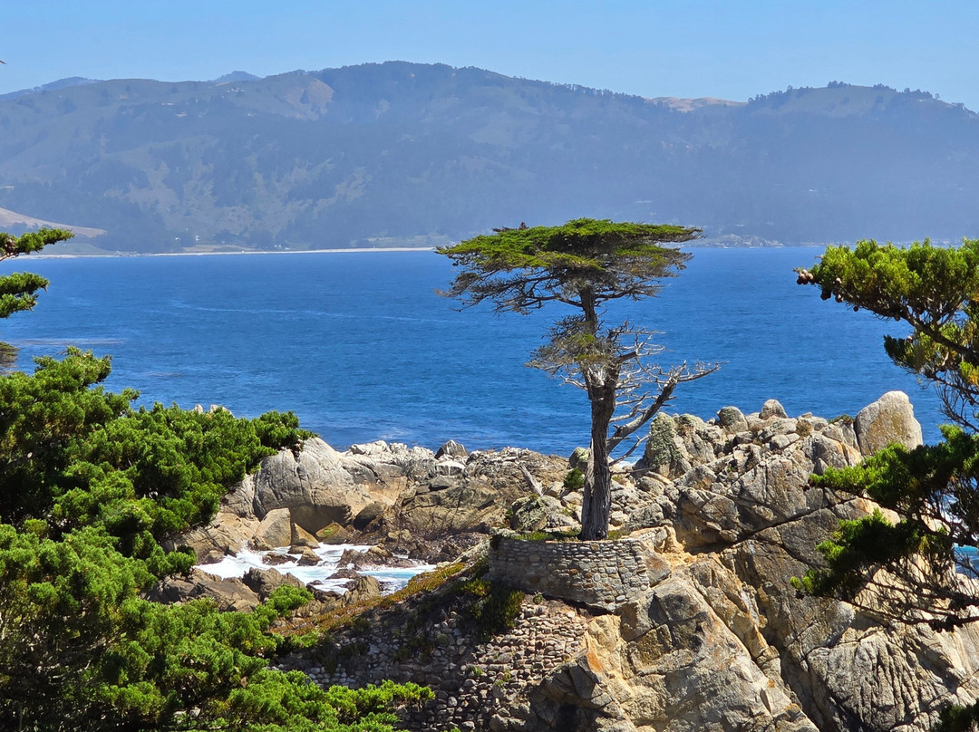 Highway 1 Road Trip-圣路易斯-奥比斯波必去景点