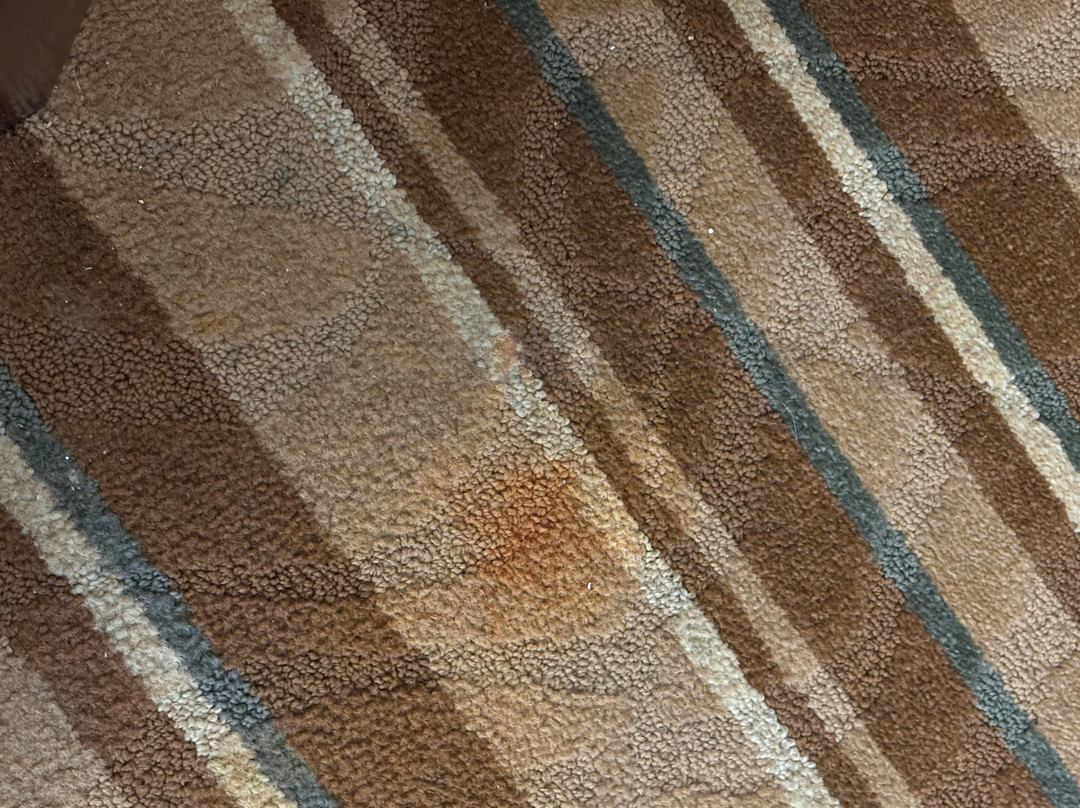 Best Western Old Mill Inn主图