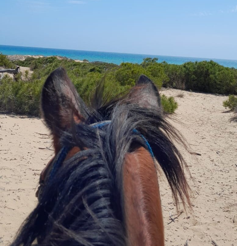 Riding stable El Refugio-瓜尔达马尔德尔塞古拉必去景点