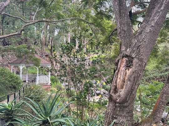 Stardust Hawaii-拉海纳必去景点
