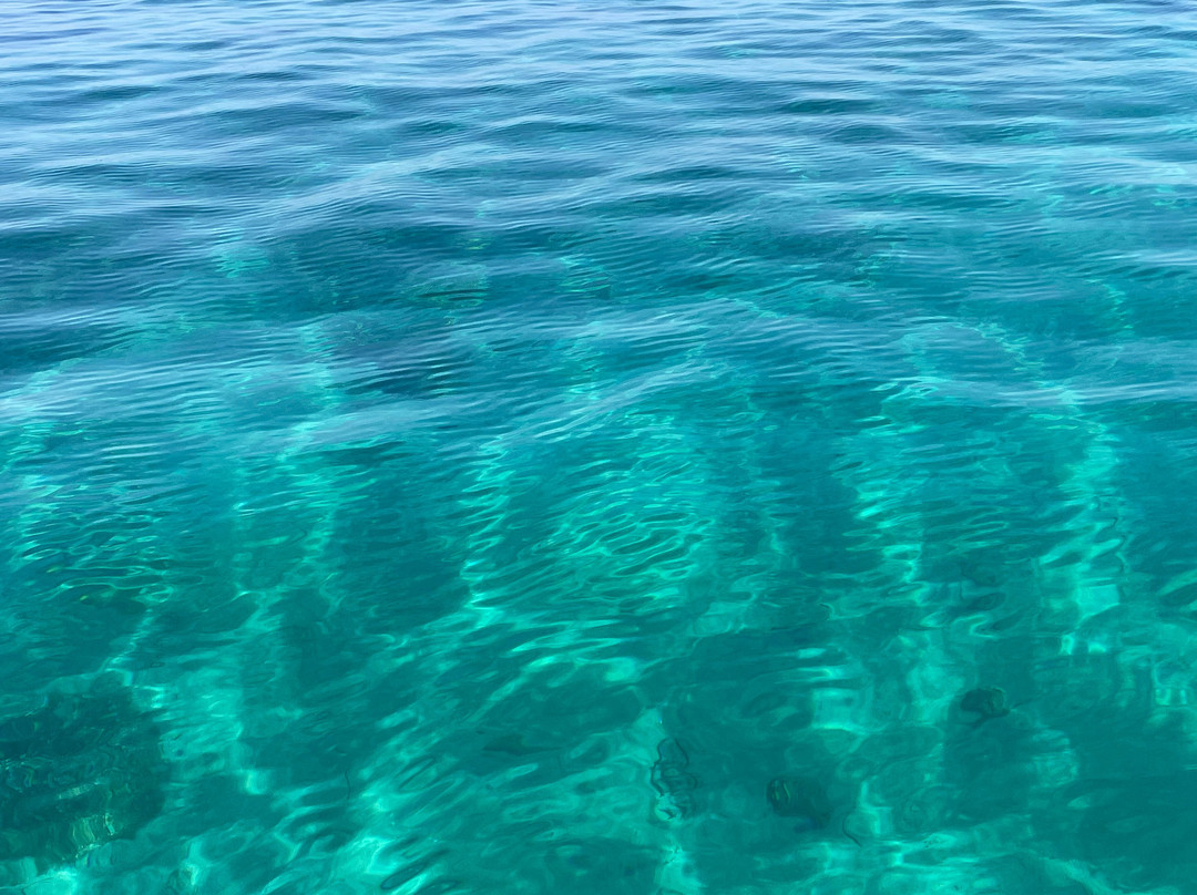 Mondo Blu Diving-Capo Vaticano必去景点