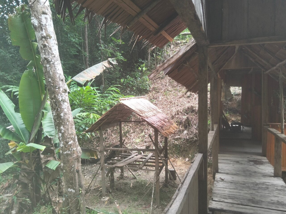 Tancueni Camping ground