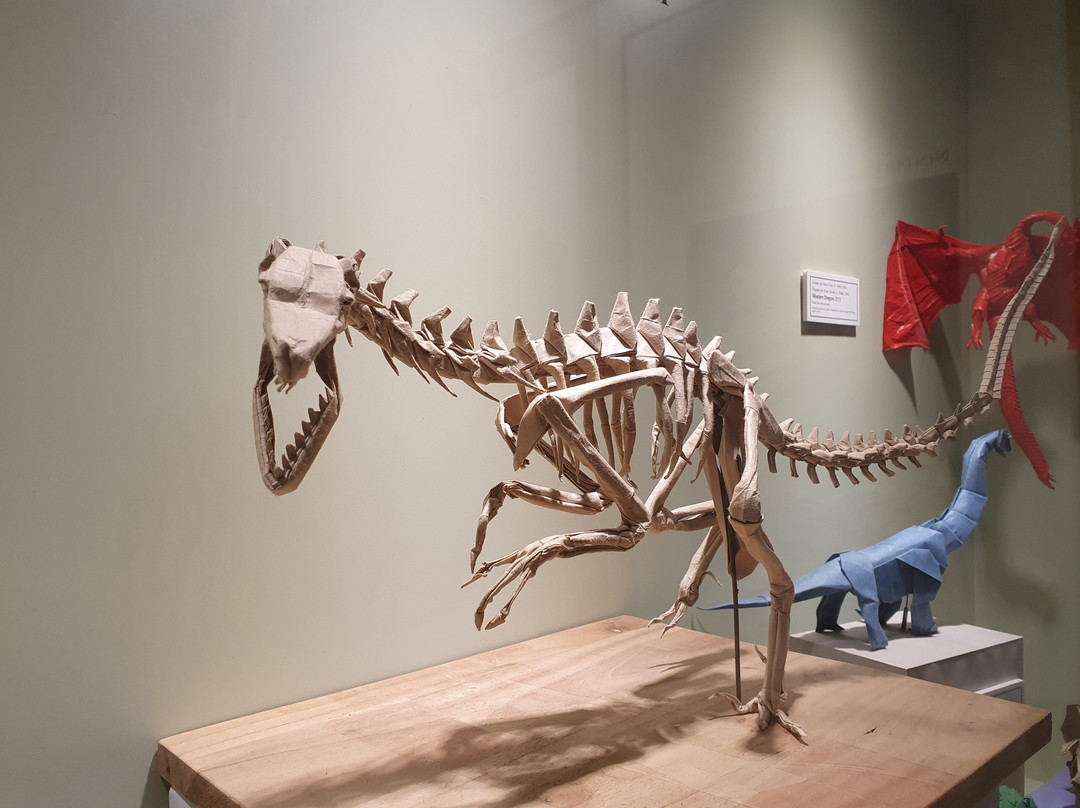 Museo del Origami-科洛尼亚·德尔萨克拉门托城必去景点