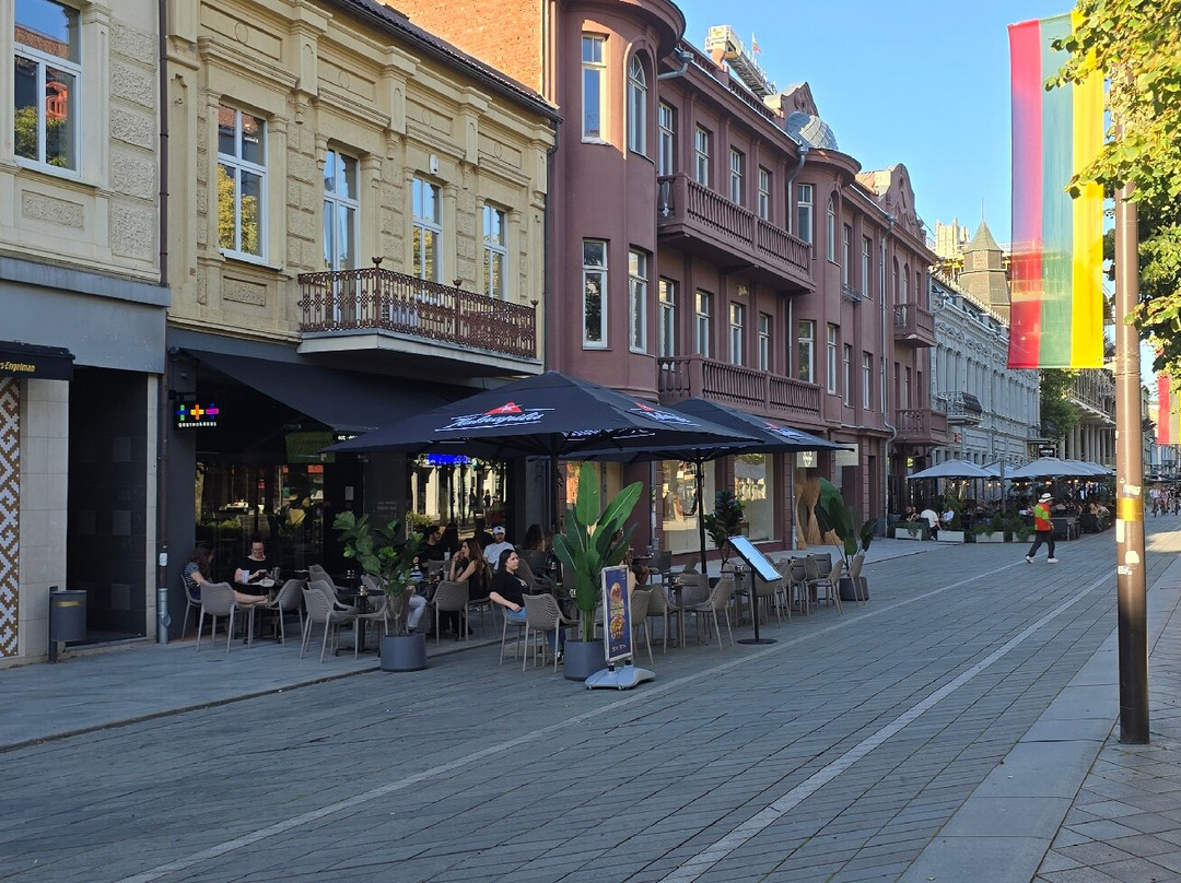 Plus Plus Plus (laisvės Al. 72)