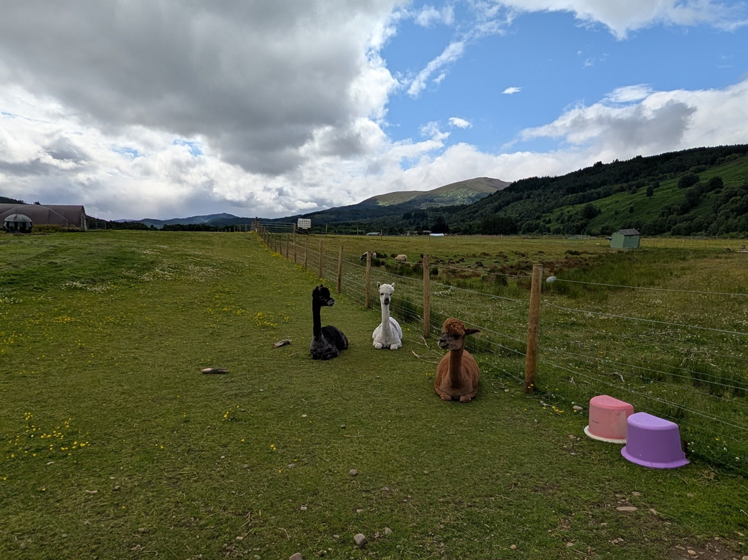 Invercannich Farm-Cannich必去景点